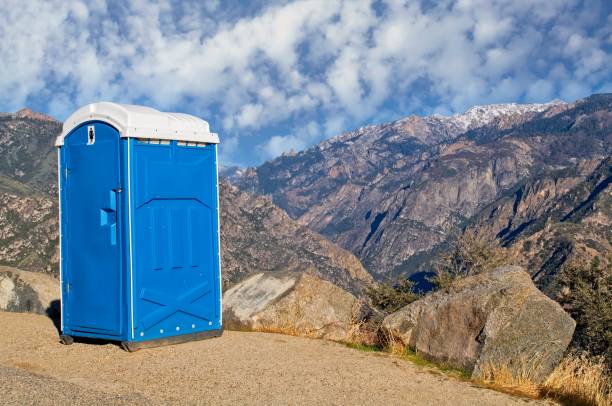 Best Sanitation services for porta potties  in Dubuque, IA